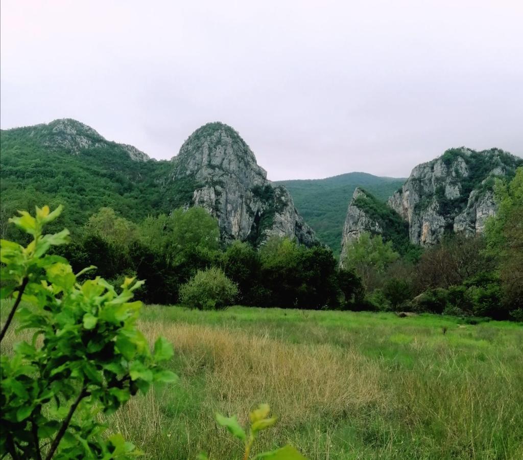 Konak Jerma Pirot Exterior foto